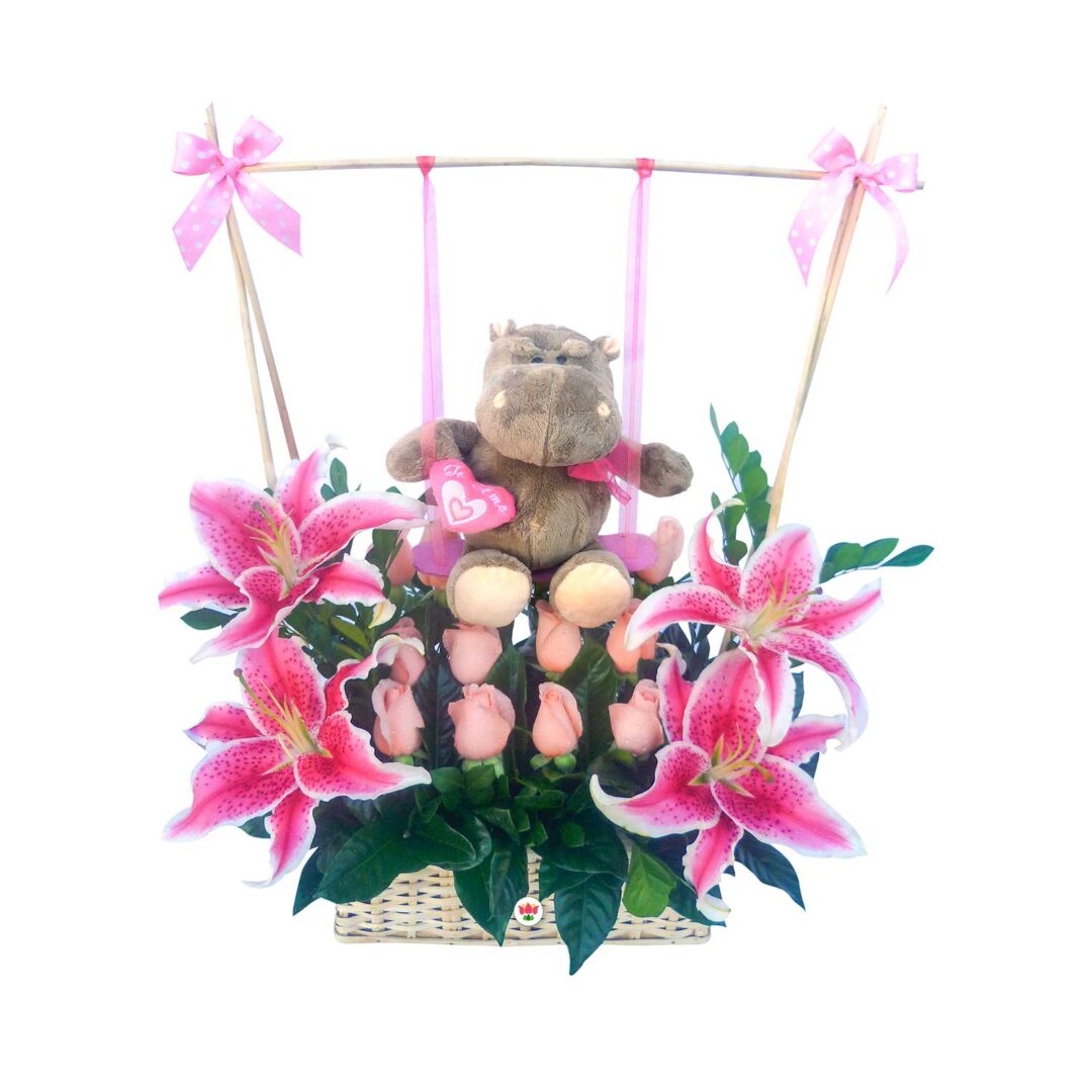 Canasta Bienvenido Bebé