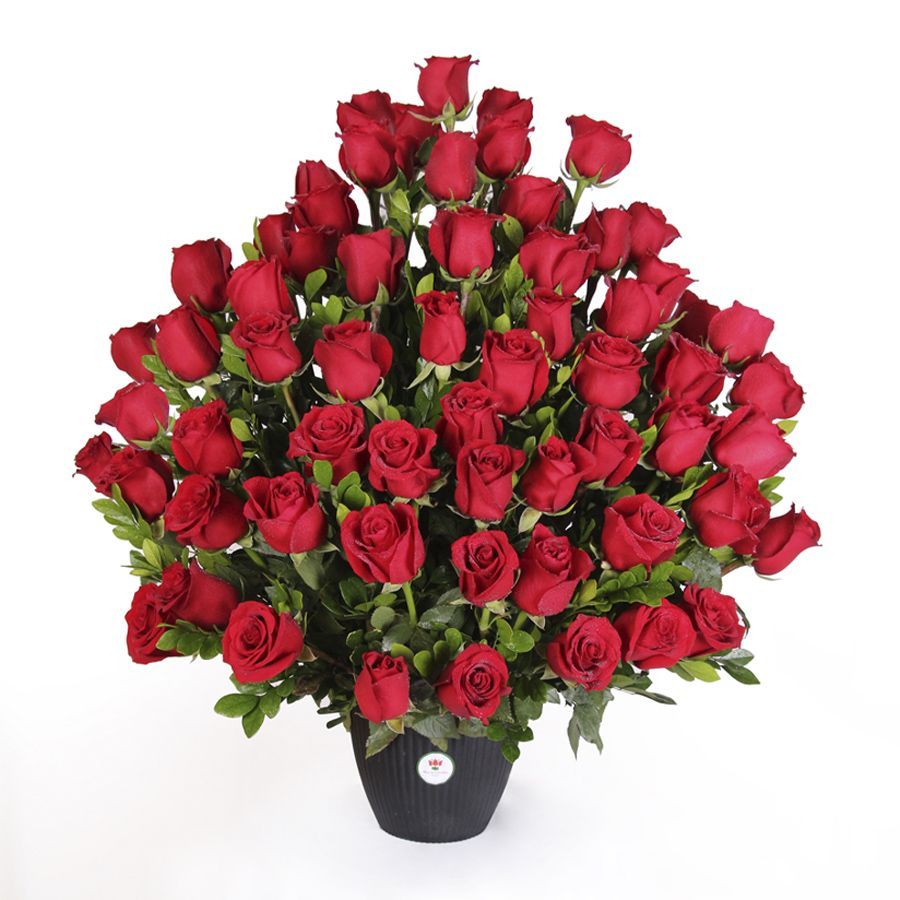 flores-el-salvador-de-relaciones