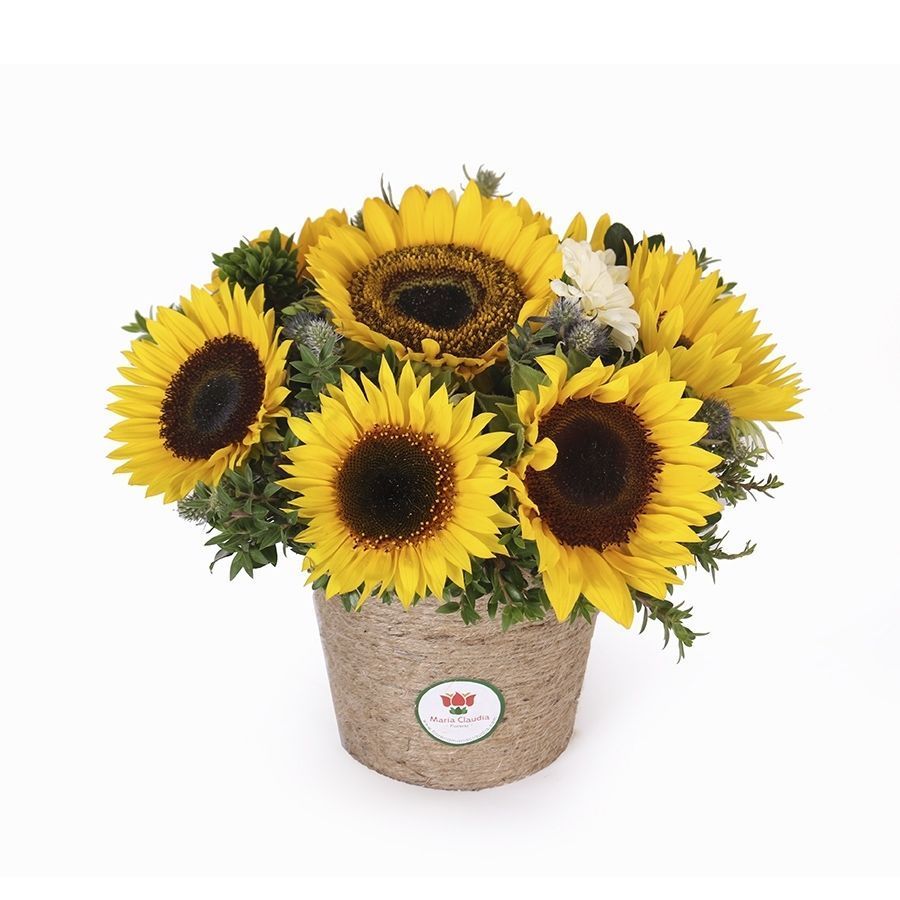 flores-flow-enamorado