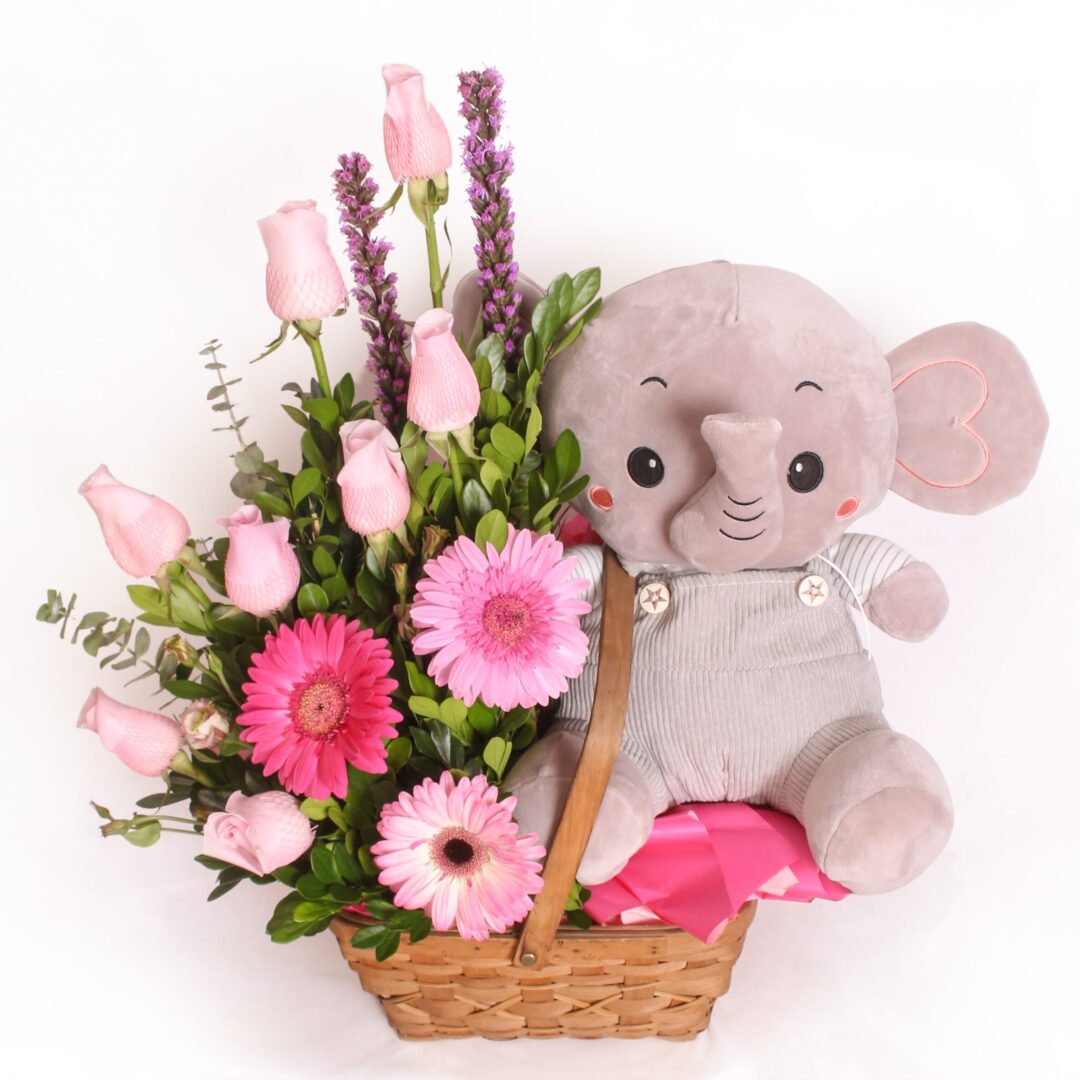 canasta-dulce-elefante