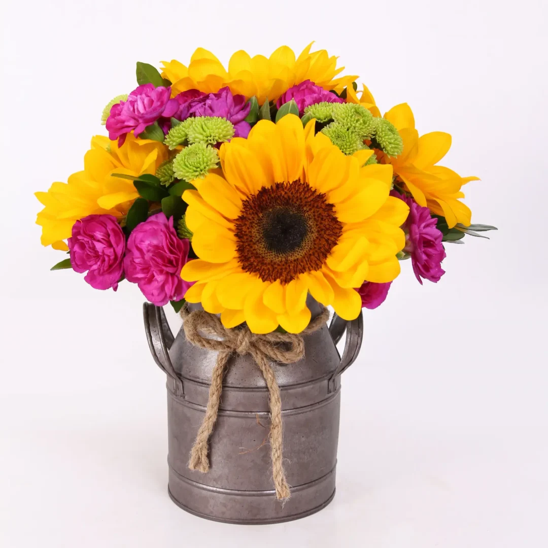 lecherita-girasoles-campestres