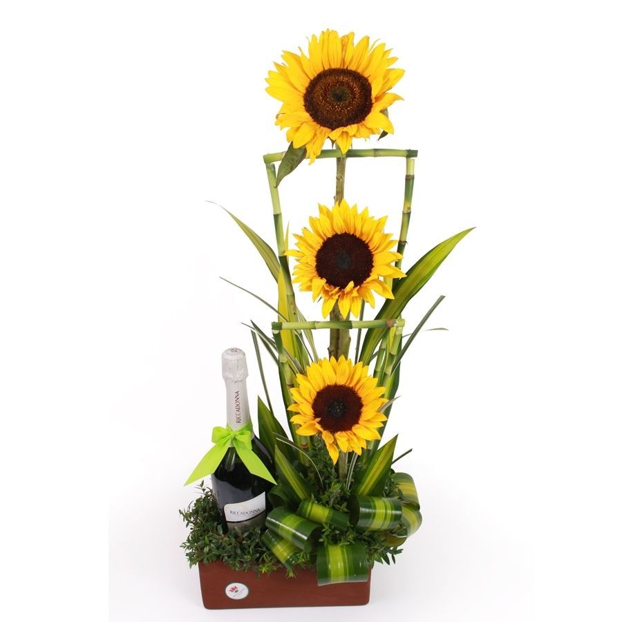 riccadonana-con-girasoles