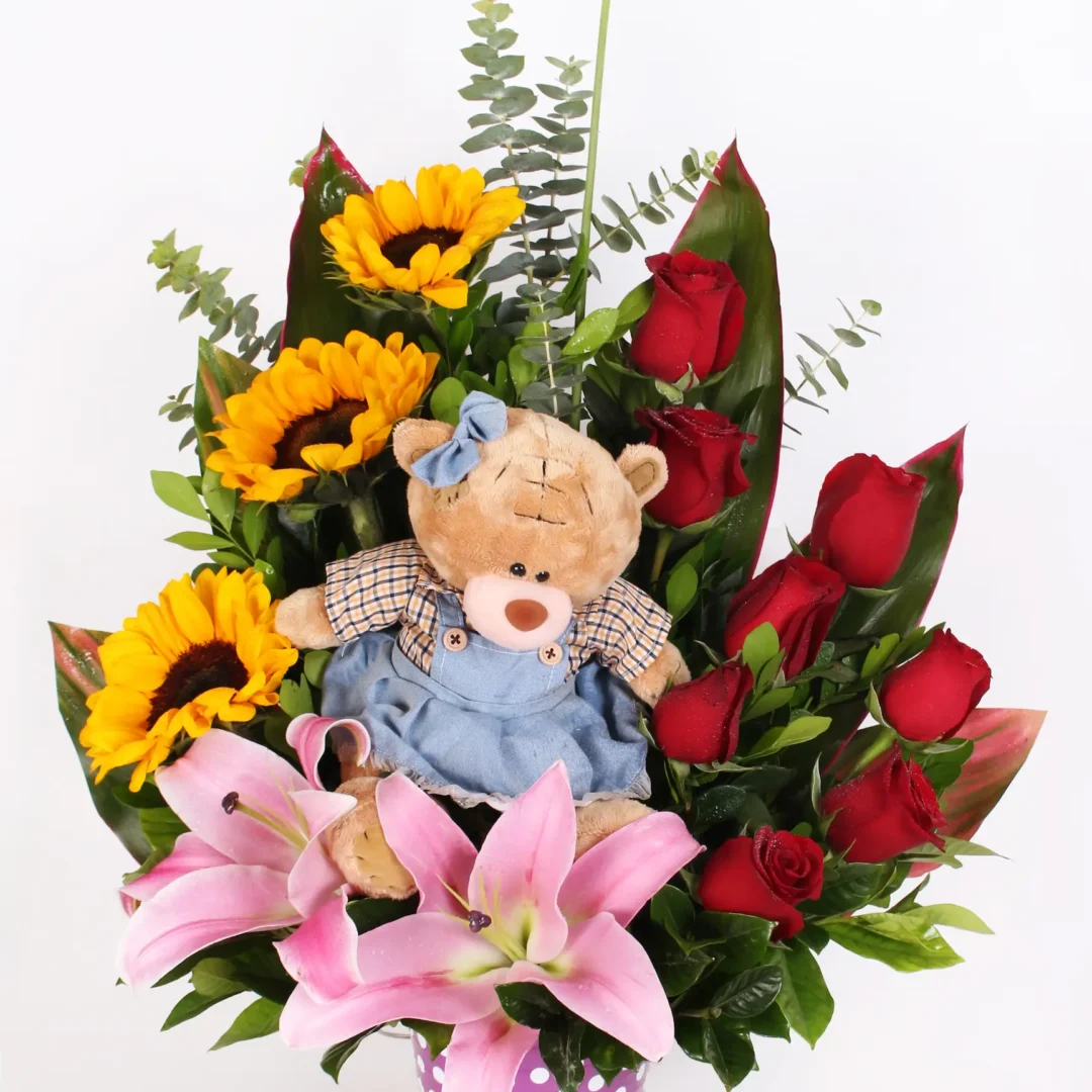 paquete-no-me-olvides