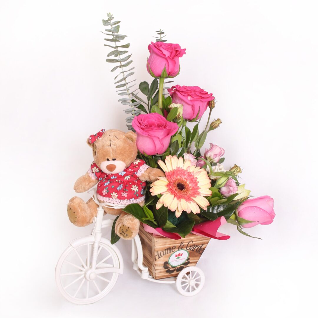 carretilla-pedaleando-a-tu-corazon