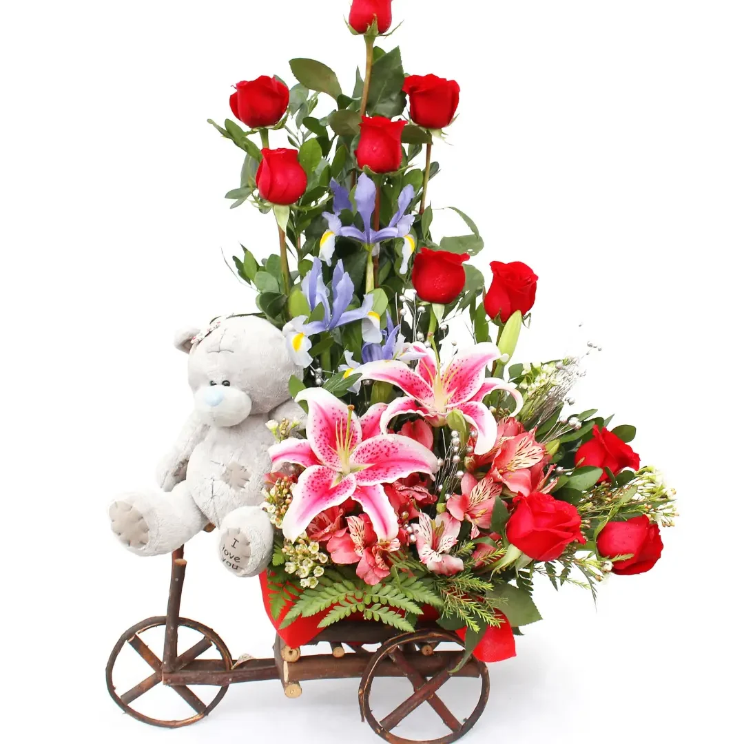 carretilla-teddy-love