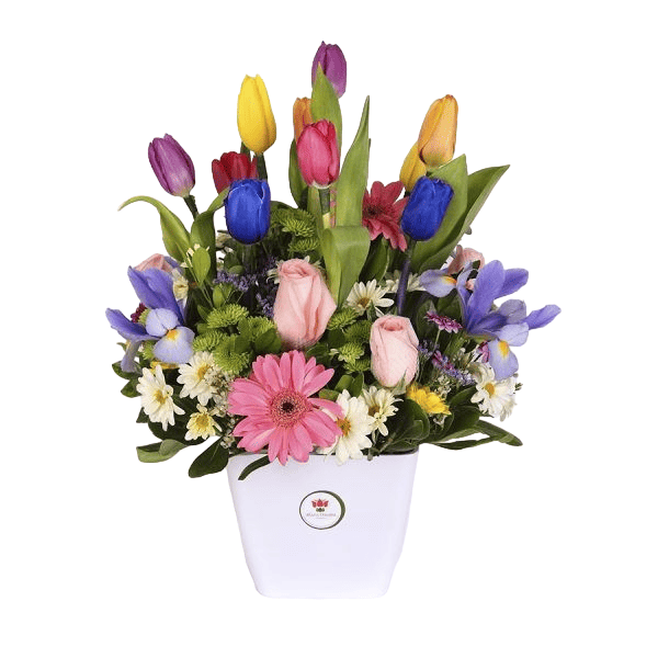 flores-caricia-de-tulipanes