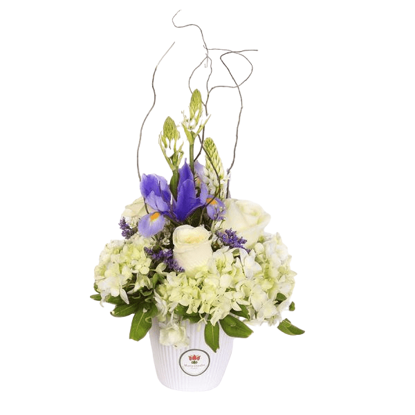 arreglo-brisa-del-campo